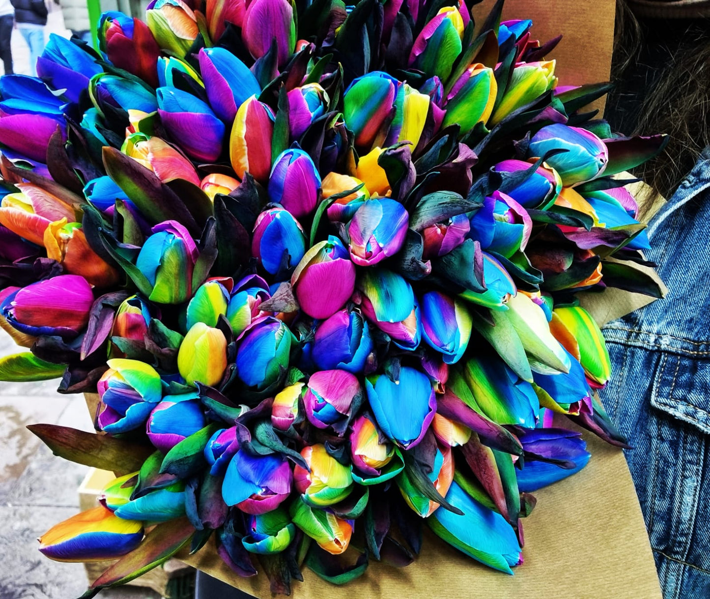 Rainbow Dream