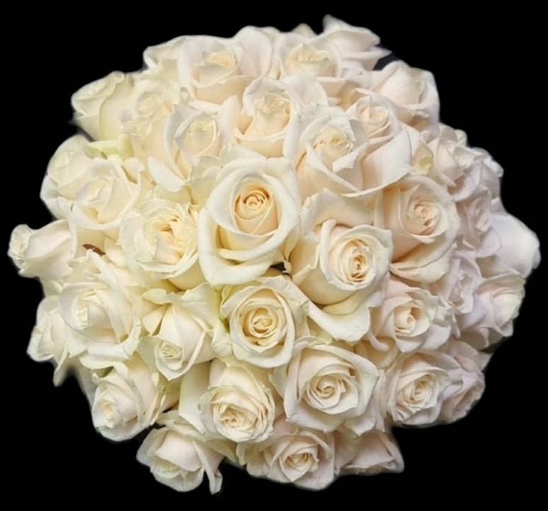 bridal 13