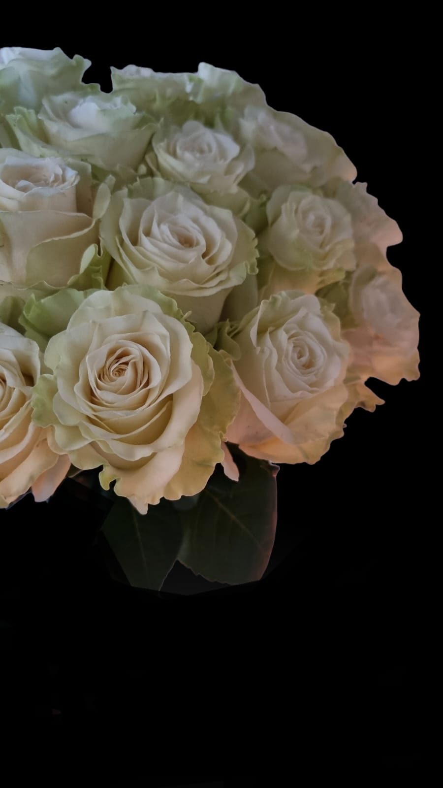 White Mondial Roses