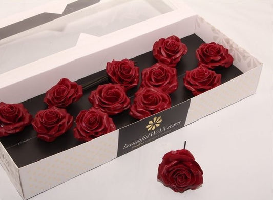 Bordeaux Roses