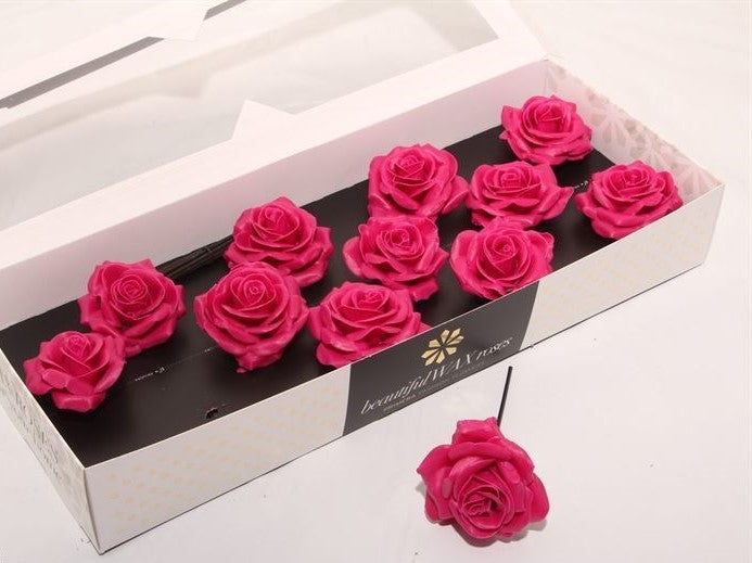 Cerise Roses