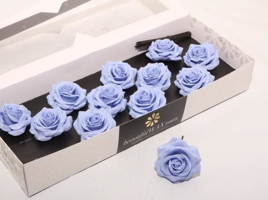 Light Blue Roses