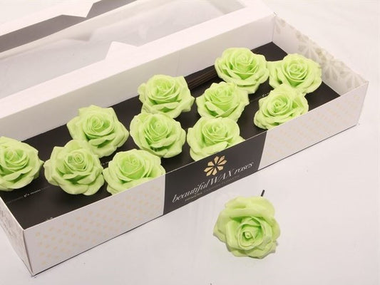 Green Mint Roses