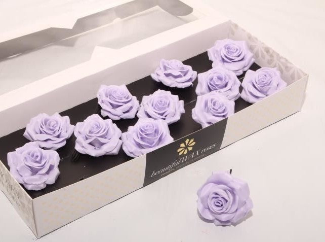 Lavender roses