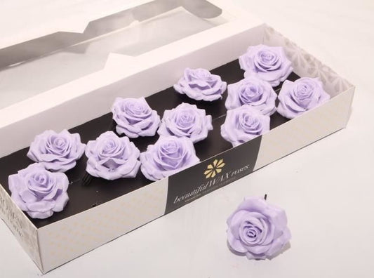 Lavender roses