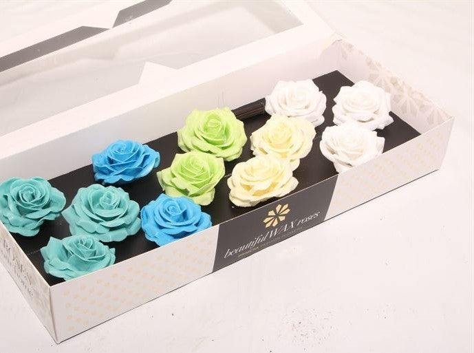 Mix Breeze Roses