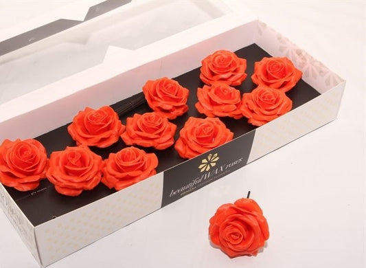 Orange Roses