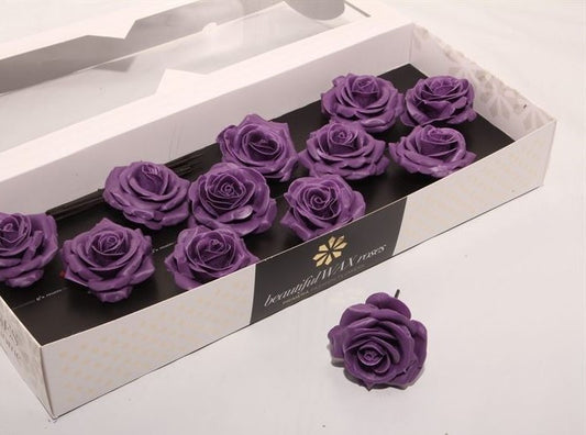 Purple Roses