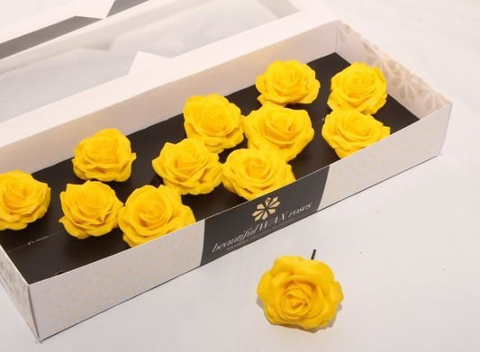 Yellow Roses