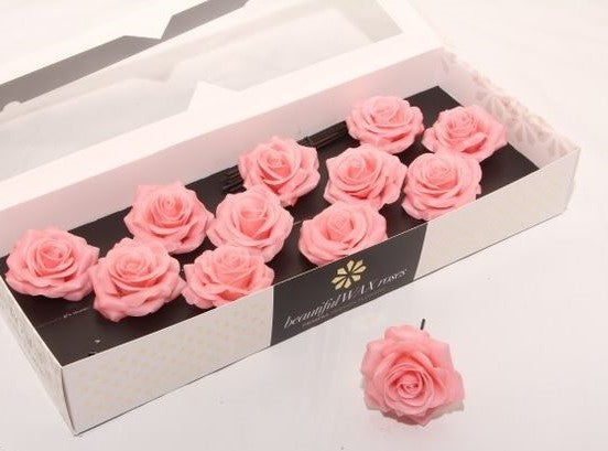 Pink Roses