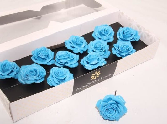 Sky blue Roses