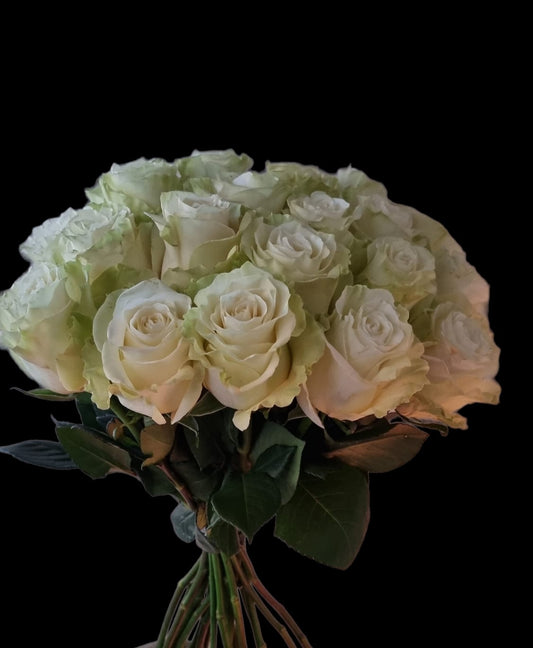 White Mondial Roses