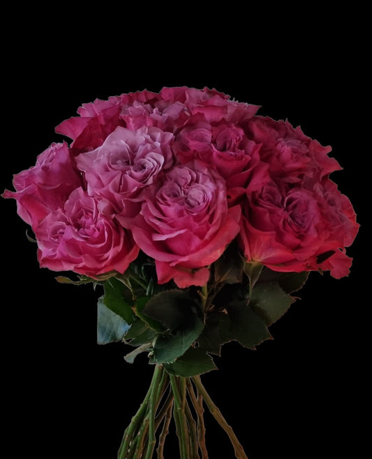 Country Blues Roses