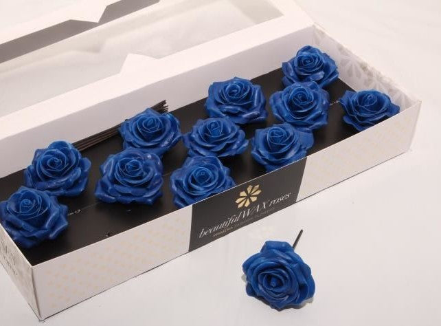 Blue roses