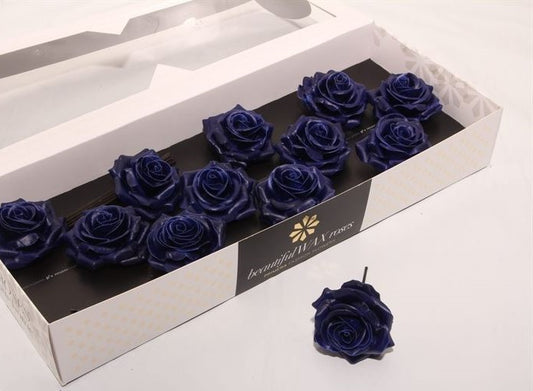 Navy Blue Roses